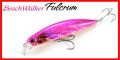 Beach Walker Fulcrum