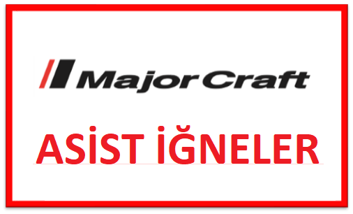 Major Craft Asist İğneler