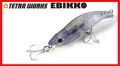 Tetra Works Ebikko