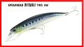 Spearhead Ryuki 110S SW Limited