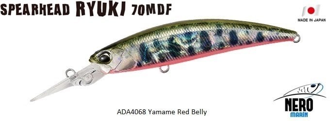 Spearhead Ryuki 70MDF ADA4068 / Yamame Red Belly