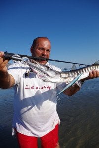 Zenaq Fokeeto FB63-2 Whippy (KWSG)