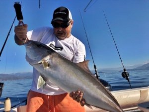 Zenaq Fokeeto FB53-8