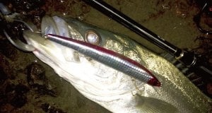 Crazee Seabass Game 862ML 2.59mt./Max. 20gr.