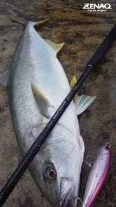 Zenaq Muthos DM-Accura 100HH (RG)