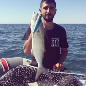 Rough Trail Aomasa 148F  AJN0408 / Silver Candy