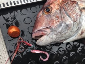 Flash J Curly 2'' SW #137 Glow Lemon Silver