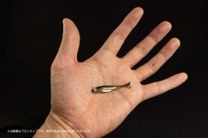 Decoy JIG-12F Micro SP Jighead İğnesi #6 (9 Adet / Paket)