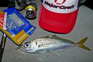 MC Para Worm PW-CURLY 2'' #42 Clear Red