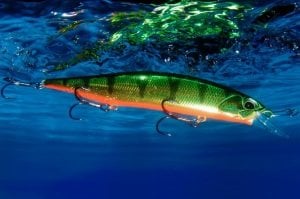 Realis Jerkbait 120SP Pike  CCC3815 Brown Trout ND