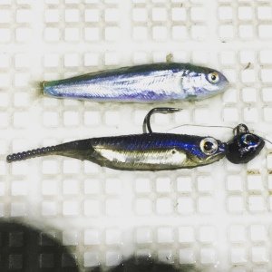 Flash J 1'' SW #145 Blue LumiNowa Silver