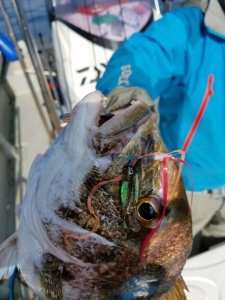 Flash J Huddle SW #134 LumiNowa Glow Silver