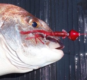 Flash J Squid 3.5'' SW #06 Clear Dot Glow