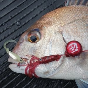 Flash J Squid 3.5'' SW #04 Surume Ika