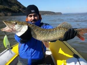 Duo Realis Crank G87 20A  GEA3006 / Ghost Minnow