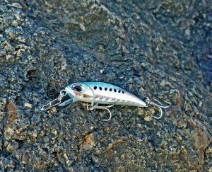 Tetra Works Toto 42S  ADA0213 / Ocean Bait