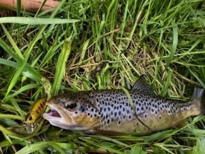 Duo Spearhead Ryuki 50S ADA4093 UV Pink Chart Yamame OB