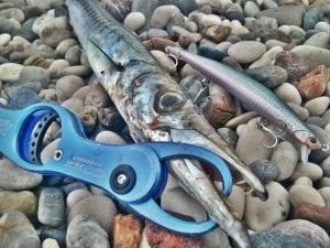 Tide Minnow Slim Flyer 175 DHN0402 / Belone