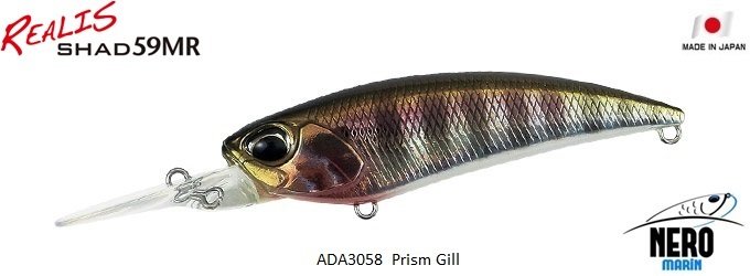Realis Shad 59MR  ADA3058 / Prism Gill