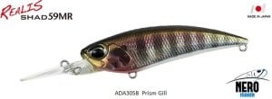 Realis Shad 59MR  ADA3058 / Prism Gill