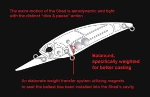 Realis Shad 59SR  ADA4013 / Wakasagi