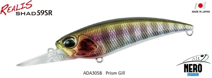 Realis Shad 59SR  ADA3058 / Prism Gill