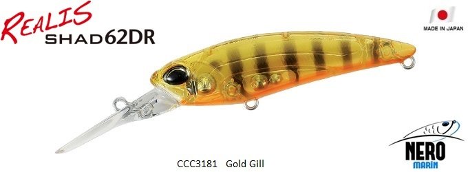 Realis Shad 62DR  CCC3181 / Gold Gill
