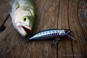 Tide Minnow 75 Sprint DBA0157 Waka Mullet
