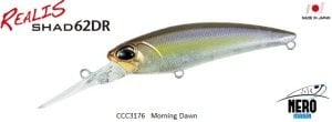 Realis Shad 62DR  CCC3176 / Morning Dawn