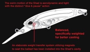 Realis Shad 62DR  ADA3077 / All Bait