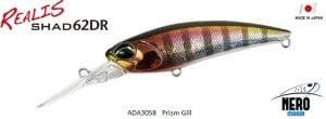 Realis Shad 62DR  ADA3058 / Prism Gill