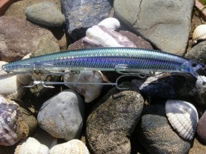 Tide Minnow 145 SLD-S  GBAZ054 / Hunter Candy