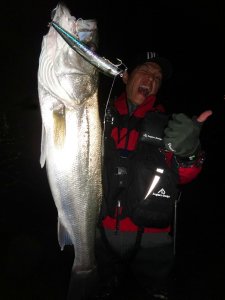 Tide Minnow Lipless Slim 125 SSR  ABA0030 / Sardine RB