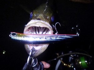 Tide Minnow Lipless Slim 125 SSR  ABA0289 / Chart Back Candy