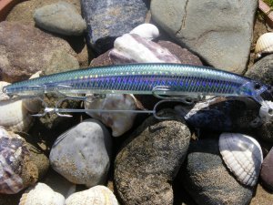 Tide Minnow 145 SLD-F  ADA0256 / Okinawa Red Belly