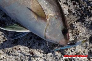 Decoy DJ-21 Pluggin Jack Tekli Plug Asist İğne #3/0 (5 Adet / Paket)