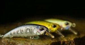 Spearhead Ryuki 60S  SW AHA0087 / Mazume Sardine