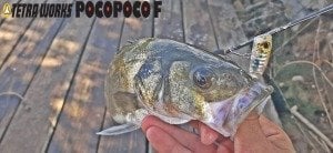 MC New Crostage CRX-S732AJI LRF Kamış Solid Uç 223cm 0.6-10g