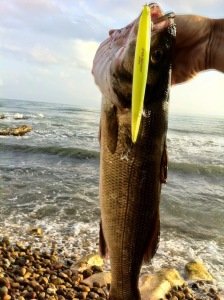 Tide Minnow Slim 175 DSN0123 / Red Face Shad