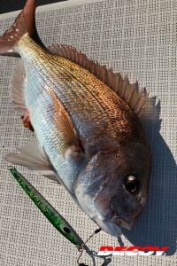 Decoy DJ-88 Twin Pike Çiftli Asist İğne #2 (3 Adet / Paket)