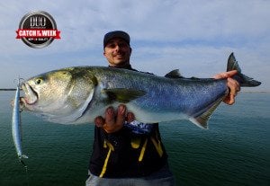 Tide Minnow Slim Flyer 175 GQA0122 / Black Back GB