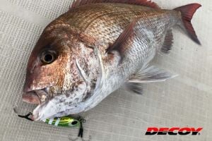 Decoy DJ-80 Twin Pike Shorter Kısa Çiftli Asist İğne #1/0 (3 Adet / Paket)