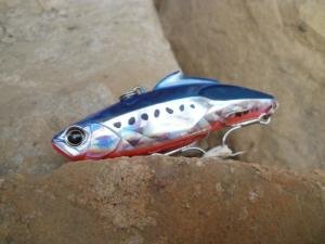 Tide Vib Score 78  CHH0993 / IH Mullet