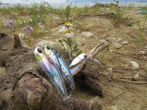 Tide Vib Score 78  CDH0919 / ID Pink Sardine