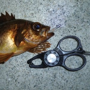 Daiichiseiko Gar Grip Nano Lip Grip