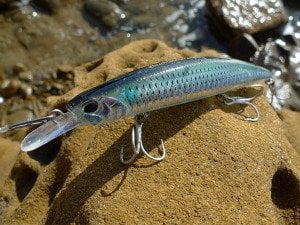 Beach Walker 120MD  GJA0101 / Zebra Glow