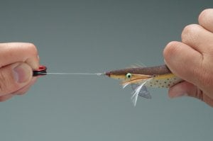 Daiichiseiko Shime Kitter 50mm. Blue