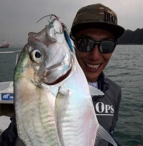 Tetra Works Tetrajig 3gr.  PHA0187 / Blue Pink Sardine