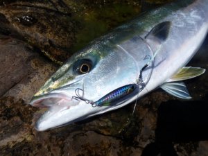 Drag Metal Cast Slim Jig 40gr. PHA0009 / Pink Back