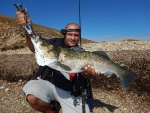 Bay Ruf Manic 135  ACC0273